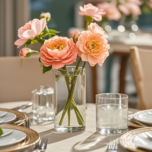 TBWIND 12pcs 6 Inch Clear Glass Cylinder Vases for Centerpieces - size: 12 Pack 6 Inch - Clear