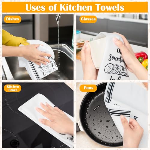 R HORSE 5 Pack Funny Sourdough Tea Bread Kitchen Dish Towels - color: Baking