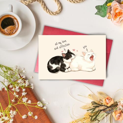 Funny Cat Love Anniversary Card, Hilarious Romantic Cat Card for Husband Wife Boyfriend Girlfriend, Cute Cat Valentine's Day Card for Cat Lovers - color: All My Love And Affection are for You