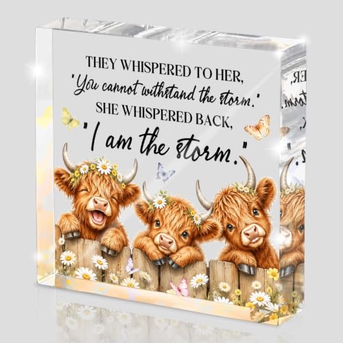 Inspirational Decor I Am The Storm Inspirational Acrylic Desk Sign, Plaque Decoration Gifts for Women Friends Home Office Shelf Table Decoration, They Whispered To Her You Cannot Withstand Quotes - color: storm