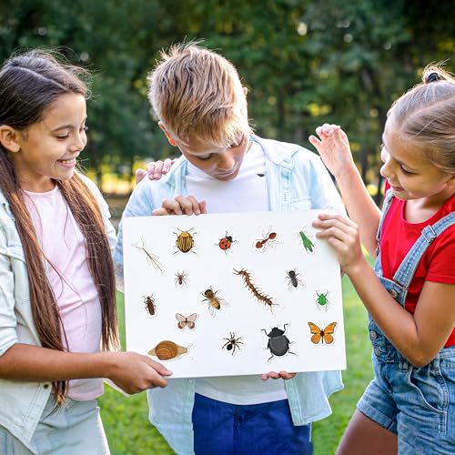 LINAYE 24 Sheets Insect Stickers for Kids Boys Girls, 780 Counts Bug Stickers for Scrapbooking,Water Bottles,Envelopes,Laptop - style: Insects 24 Sheets