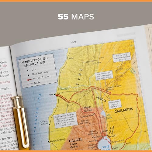 CSB Study Bible, Brown Genuine Leather, Red Letter, Study Notes and Commentary, Illustrations, Articles, Word Studies, Outlines, Timelines, Easy-to-Read Bible Serif Type