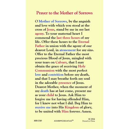 Needzo Holy Prayer Card, Our Lady of Sorrows Laminated Devotional Handout or Catholic Favor, 2.625 x 4.375 Inches (Pack of 5)
