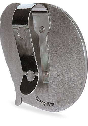 AngelStar 15687 Grandson Guardian Angel Visor Clip Accent, 2-1/2-Inch, Black
