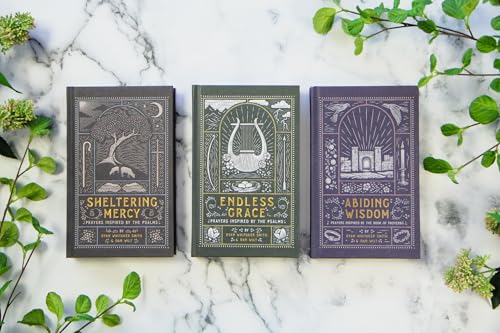 Abiding Wisdom: Prayers Inspired by the Book of Proverbs (An Illustrated Devotional Prayer Book with 75 Daily Poetic Prayers)
