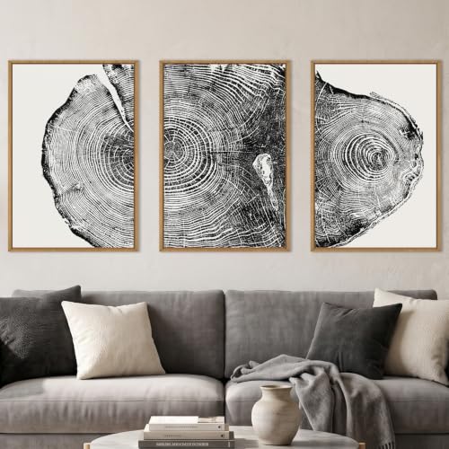 Aryroi Large Vintage Tree Ring Framed Canvas Wall Art Set- 24"x36"x3 - color: Black and White Tree ring Wall Art, size: 24"L x 36"W