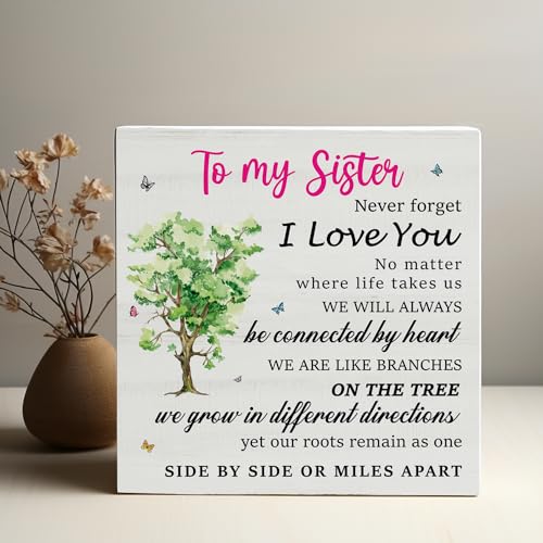 Sister Office Wood Box Sign Decor Desk Sign, To My Sister Birthday Christmas Wedding Gifts for Sister Bestie Gift, Soul Sister Wooden Box Block Sign Home Office Shelf Decoration10PF028