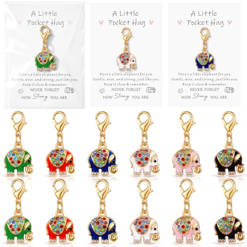 Kenning 12 Set Pocket Hugs Elephant Keychain Gifts Bulk, Positive Small Cute Pocket Size Inspirational Gifts with Motivational Cards for Teacher Employee Women Appreciation - style: Elephant