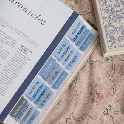 UPAFEXXI-Laminated Bible Tabs with Book Summaries, Bible Study Supplies - color: Summaries Blue2