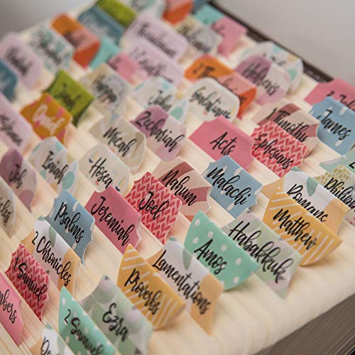 DiverseBee Laminated Bible Tabs for Women and Men (Diverse Theme) - color: Diverse