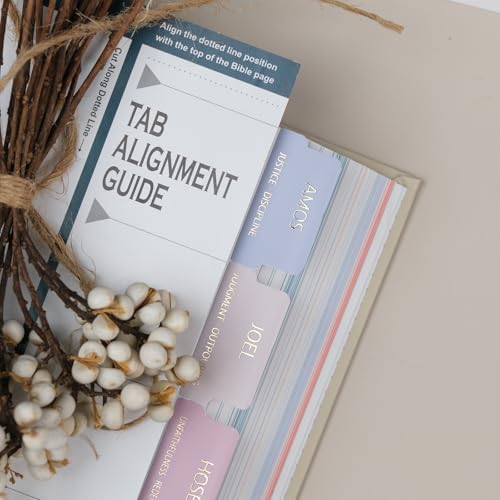 UPAFEXXI-Bible Tabs with Book Summaries,3D Gold Foil Embossed Lettering - color: Macaron