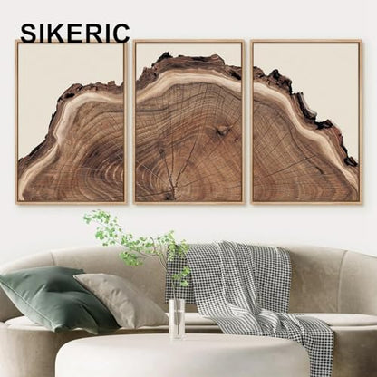 SIKERIC Framed Nature Tree Ring Wall Art, (16X24 inch) Modern Wood Stump Canvas Wall Art Set Of 3,Large Wood Tree Spiral Art Prints, Abstract Wall Painting for Living Room, Bedroom, Office - color: Nature Tree Ring, size: 16"L x 24"W