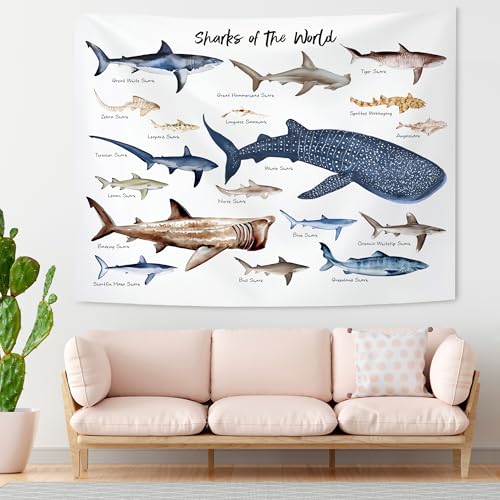 KAIOUS Shark Wall Hanging Tapestry for Kids, 50x58 - color: Shark, size: 58"L x 50"W