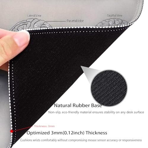 Biology Diagram of Human Brain Anatomy Mouse Pad, Science Durable Desk Mat - color: Brain Illustration