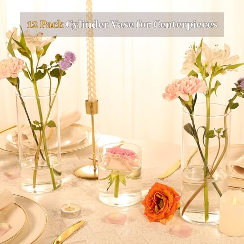 TBWIND 12pcs 8 Inch Clear Glass Cylinder Vases for Centerpieces - size: 12 Pack 8 Inch - Clear