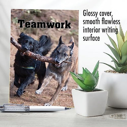 Best Card Co 1 Teamwork Thank You Greeting Card Colorful Dog C3189FTYG - style: Teamwork