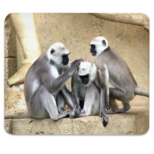 Gray Langur Monkeys Grooming Wildlife Primate Mouse Pad, Nature Desk Mat - color: Color_DE0001XX