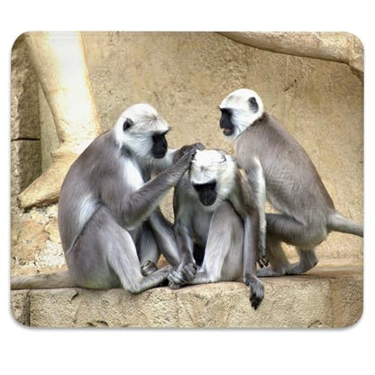 Gray Langur Monkeys Grooming Wildlife Primate Mouse Pad, Nature Desk Mat - color: Color_DE0001XX