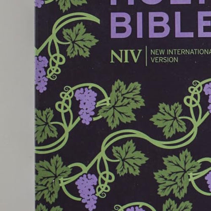 NIV Holy Bible