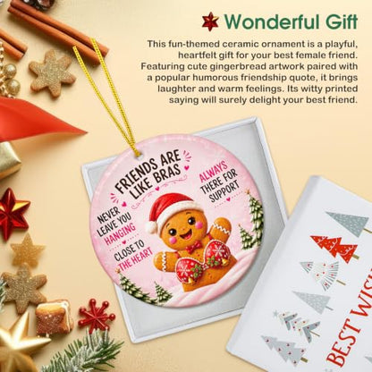 FaCraft Funny Friendship Gifts for Women Bestie Friends Christmas Ornament - color: 1-13 Friendship