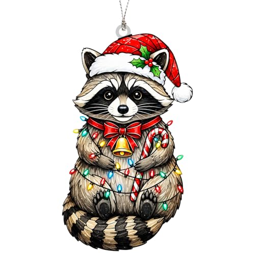 Funny Christmas Ornaments - Raccon Gifts - Raccoon Christmas Ornaments - Animal Lovers Ornaments - Racoon Ornament - Christmas Ornament 2026 - White Elephant Gifts - Xmas Tree Funny Decoration - color: Raccoon5