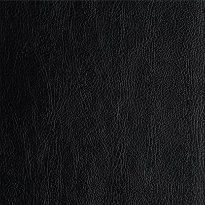 CSB Everyday Study Bible, Black Bonded Leather, Black Letter, Study Notes and Commentary, Illustrations, Articles, Charts, Easy-to-Carry, Easy-to-Read Bible Serif Type