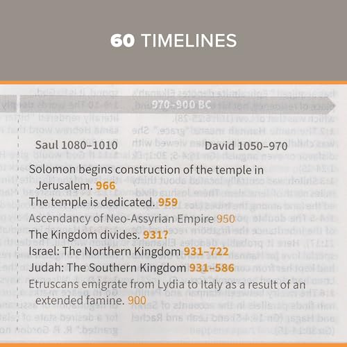 CSB Study Bible, Brown Genuine Leather, Red Letter, Study Notes and Commentary, Illustrations, Articles, Word Studies, Outlines, Timelines, Easy-to-Read Bible Serif Type