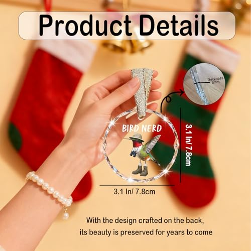 Funny Bird Watching Gifts - Hummingbird Sun Catchers Indoor Window, Humming Bird Suncatchers for Windows Hanging, Unique Cool Briding Gift for Mothers Day, House Warming Gifts New Apartment - color: Blgs013