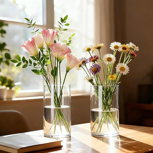 12pcs Thick Glass Cylinder Vase, 6 Inch Clear Glass Flower Vases - size: Smooth-12PCS