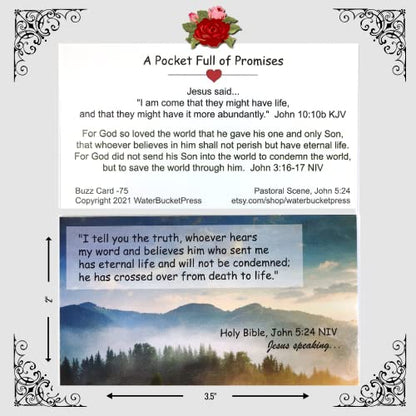 A Sinner's Prayer Pocket Cards, Gospel Tracts, Evangelism, Salvation Scriptures, Prayer Cards, John 3:16, 3.5x2 Variety Pack 3 Styles, 75 Cards