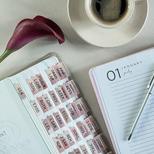 DiverseBee Laminated Bible Tabs (Large Print, Easy to Apply), Bible Tabs Old and New Testament, Bible Study Journaling Supplies, Bible Accessories, Bible Index Tabs, 72 Bible Book Tabs (Velvet) - color: Velvet