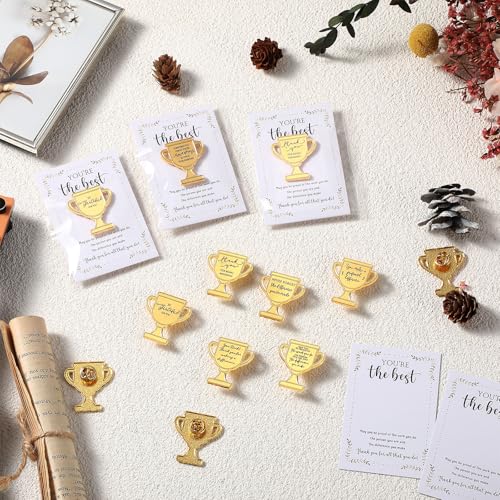60 Sets Employee Appreciation Gifts Bulk, Trophy Pins,10 Styles - style: 10 Styles