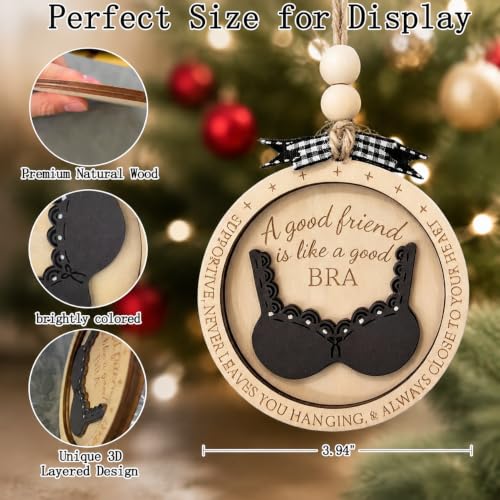 Funny Best Friend Christmas Ornament with Bra & Underwear Pun Design - color: Multi Color