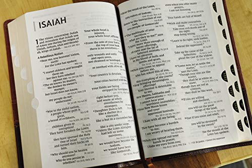 NIV, Reference Bible, Giant Print, Leathersoft, Brown, Red Letter, Thumb Indexed, Comfort Print