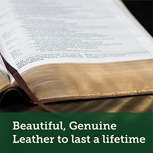 NLT Life Application Study Bible, Third Edition, Large Print (Genuine Leather, Brown, Indexed, Red Letter)
