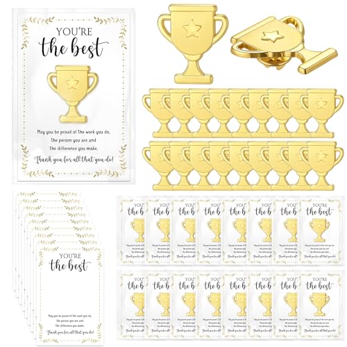 60 Sets Employee Appreciation Gifts Bulk, Trophy Pins,Star - style: Star