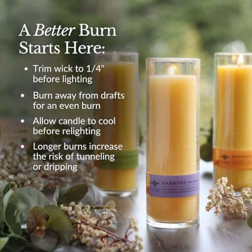 Big Dipper Wax Works Sanctuary Serenity Glass Candle, 12.5oz
