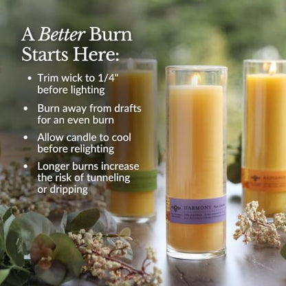 Big Dipper Wax Works Sanctuary Serenity Glass Candle, 12.5oz