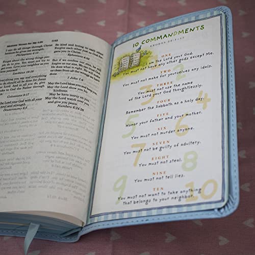 ICB, Really Woolly Holy Bible for Toddlers, Pink Leathersoft: International Children's Bible – Helping Little Hearts Grow in God's Love