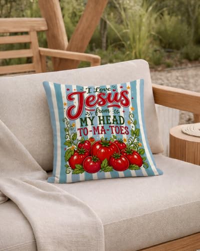 Preppy Blue Striped Christmas Tomato Pillow Cover 18x18 - color: Blue Striped