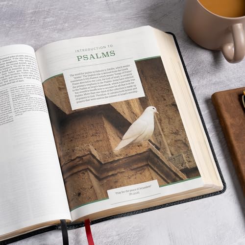 NASB Study Bible, Black Genuine Leather, Full-Color, Red Letter, Study Notes and Commentary, Illustrations, Book Introductions, Articles, Word Studies, Outlines, Timelines, Maps