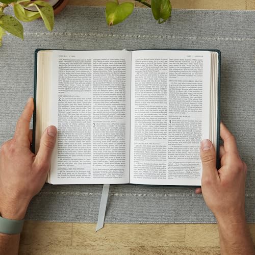 NRSV Catholic Edition Gift Bible, Teal Leathersoft (Comfort Print, Holy Bible, Complete Catholic Bible, NRSV CE): Holy Bible