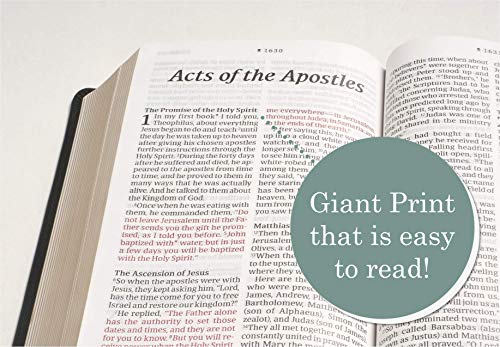NLT Personal Size Giant Print Bible, Filament Enabled (Genuine Leather, Black, Indexed, Red Letter): Includes Free Access to the Filament Bible App ... Notes, Devotionals, Worship Music, and Video