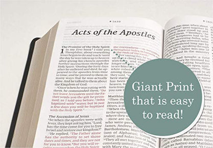 NLT Personal Size Giant Print Bible, Filament Enabled (Genuine Leather, Black, Indexed, Red Letter): Includes Free Access to the Filament Bible App ... Notes, Devotionals, Worship Music, and Video