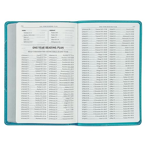KJV Holy Bible, Gift Edition for Girls/Teens King James Version, Faux Leather Flexible Cover, Teal Butterfly (KJV Gift Editions)