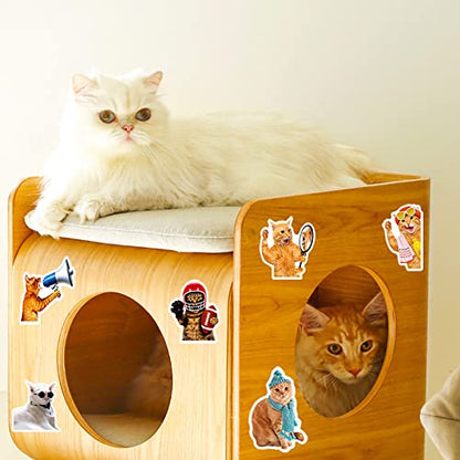 Cat Stickers for Kids Teens Girls Adults, 100 Pcs Cute Cat Stickers, Vinyl Waterproof Animal Sticker for Water Bottle, Laptop, Luggage, Phone, Skateboard - color: Cat