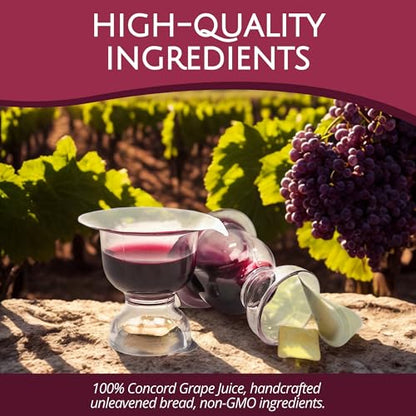 TrueVine Chalice Prefilled Communion Cups & Wafer Set (100 Count) - size: 100 Count (Pack of 1)