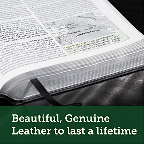 NLT Life Application Study Bible, Third Edition, Large Print (Genuine Leather, Black, Indexed, Red Letter)