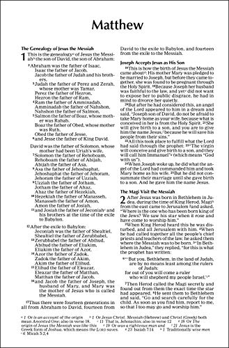 Holy Bible New Testament: Accurate. Readable. Clear.