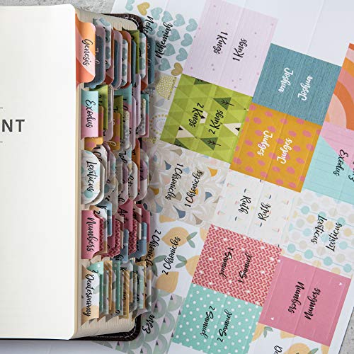 DiverseBee Laminated Bible Tabs for Women and Men (Diverse Theme) - color: Diverse